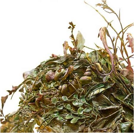 工藝|他用陶瓷造了一個(gè)仙境